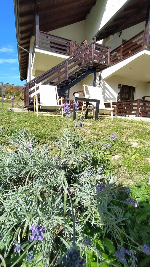 Apartman Draskovic - גוץ' מראה חיצוני תמונה